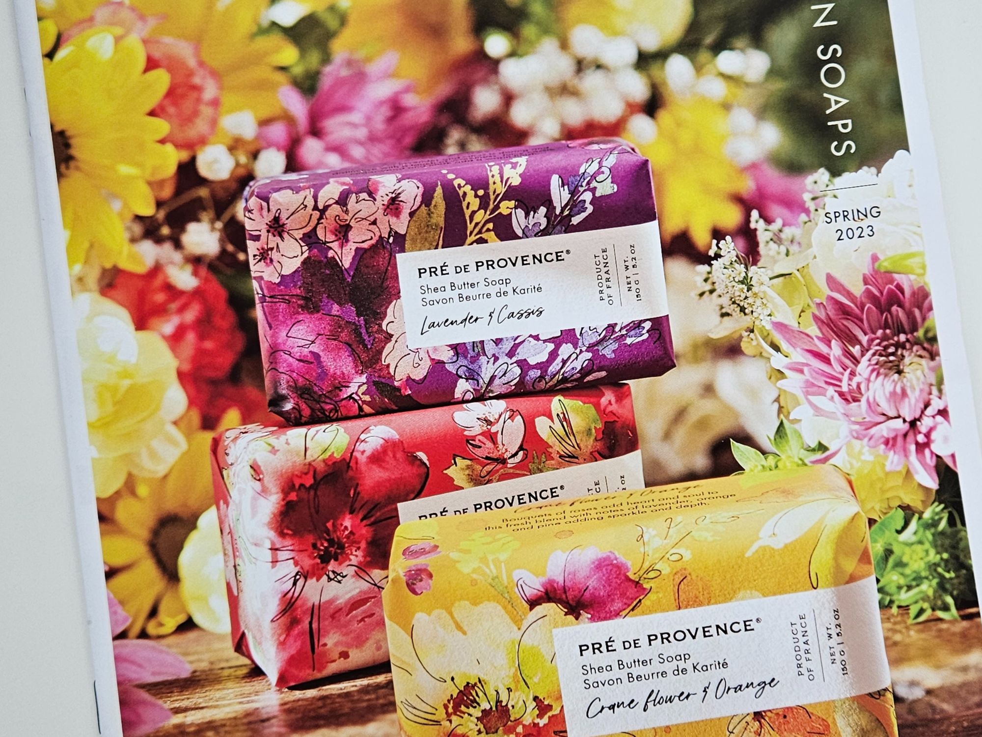 catalogs